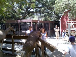 OC Zoo entrance sign